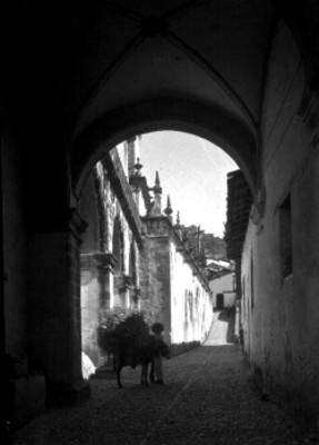 Niño arriero en un callejón