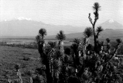 Iztaccíhuatl, panorámica