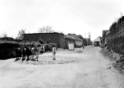Indígena junto a caballo en una calle