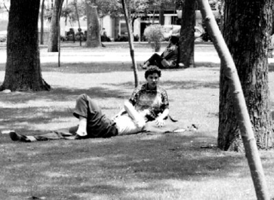 Pareja acostada sobre el pasto en Chapultepec