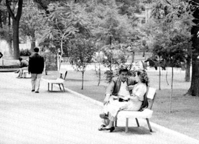 Pareja conversando en un parque