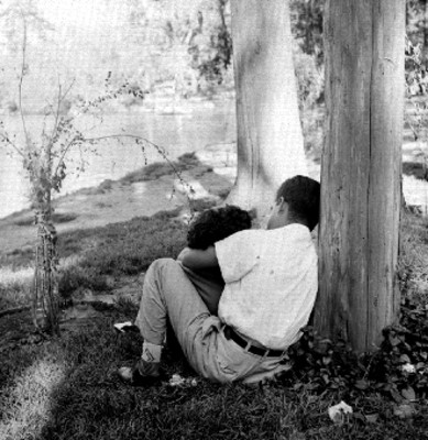 Pareja de enamorados sentados bajo un árbol