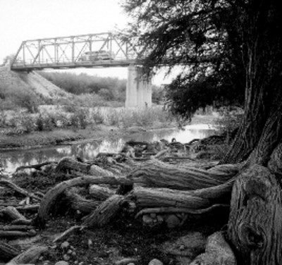 Puente en una selva, vista parcial