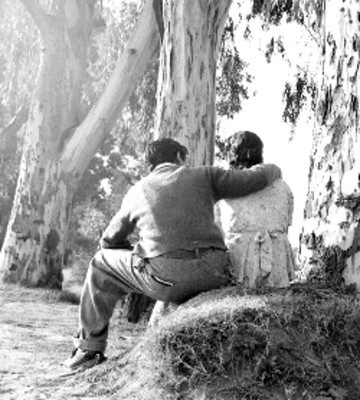 Pareja conversa junto a un árbol en Chapultepec