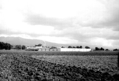Campo de cultivo en el rancho Santa Mónica