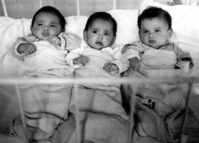 Bebés triates, retrato
