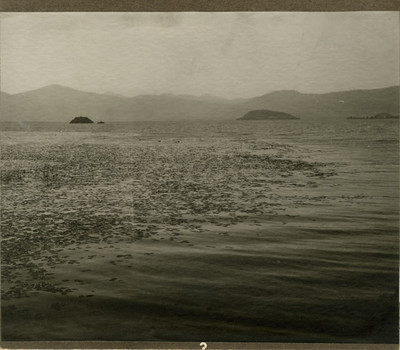 "Lago de Pátzcuaro", paisaje