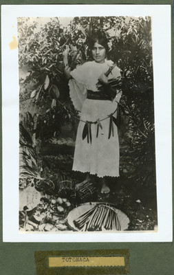 Mujer "Totonaca" recolectando la vainilla