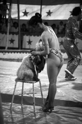Domadora de animales en actuación