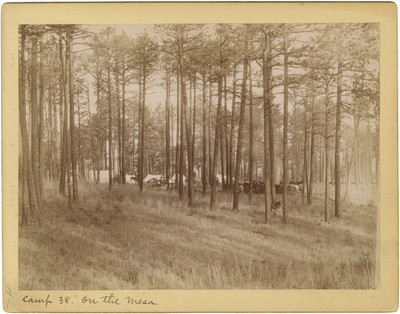 Campamento en la Mesa, "Camp 38 on the Mesa"