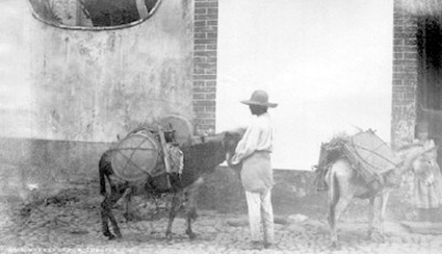 Arriero en una calle de Cuautla, "5633. Street group Cuautla"