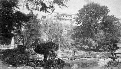 The gardens of Chapultepec