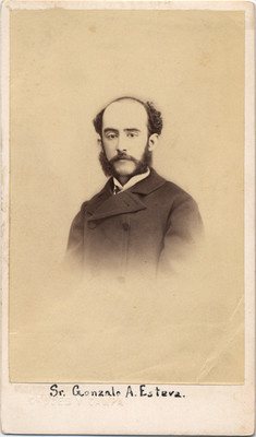 Sr. Gonzalo A. Esteva, retrato