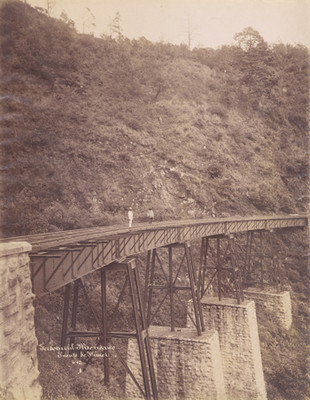 Ferrocarril Mexicano, Puente de Wimer