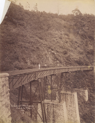 Ferrocarril Mexicano, Puente de Wimer
