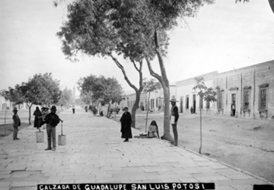 Calzada de Guadalupe, retrato