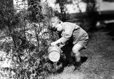 Niño hechando agua a un árbol