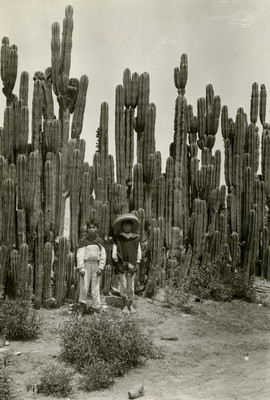 Niños indígenas junto a muro de cactus, retrato
