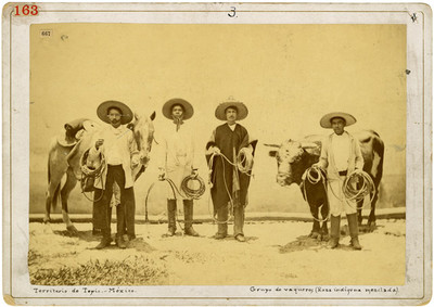 Grupo de vaqueros (razas indígenas mezclada) con las razas europeas