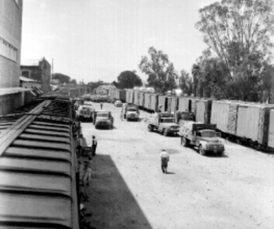 Cargadores trasladando bultos de trigo de un camión a furgones en Irapuato