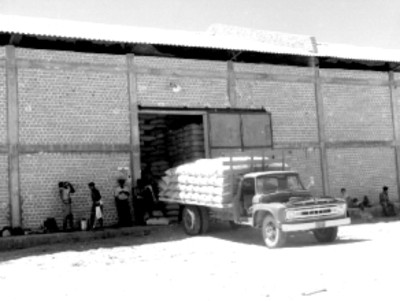 Estibadores acarreando costales durante una entrega de trigo en un almacén