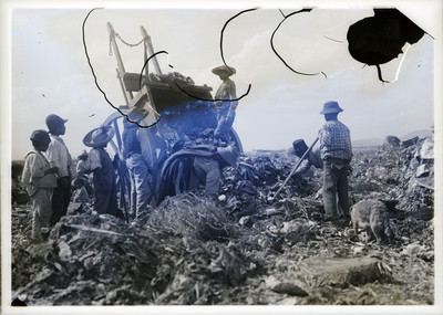 Hombres recolectores de basura en el basurero