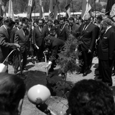 Adolfo López Mateos siembra un árbol durante ceremonia en la feria de la flor en San Ángel