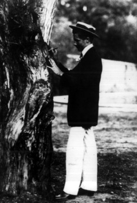"Gral. Juan Almazán", junto a un árbol, retrato