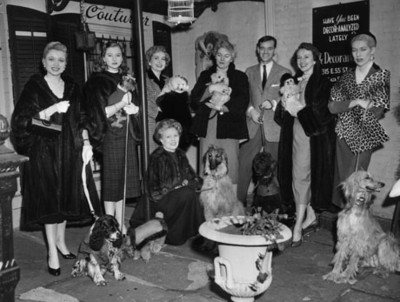 Mujeres junto a sus perros, retrato de grupo