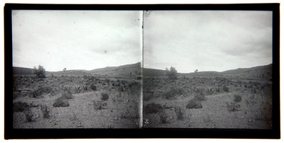 Vista de campo