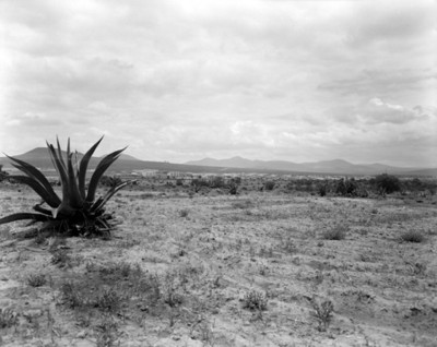 Magueyes, paisajes