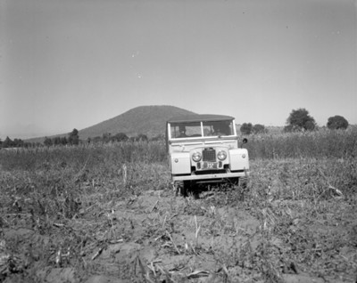 Automóvil en un campo de cultivo