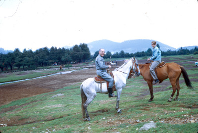 Hombres a caballo en el bosque