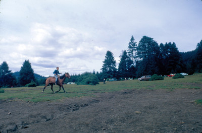 Individuo trota a caballo por bosque
