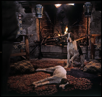 Perros junto a una chimenea en escena de la película El Señor de Osanto