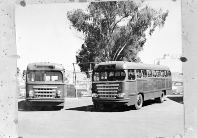 Autobuses en un estacionamiento