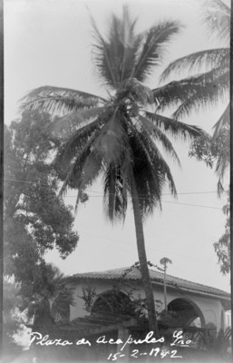 Plaza de Acapulco, Gro