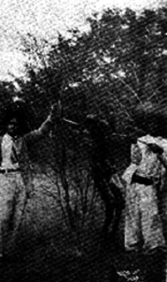 Revolucionarios cargan restos humanos