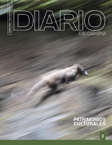 Diario de Campo - Num. 2 (2017) Patrimonios culturales (Cuarta época)