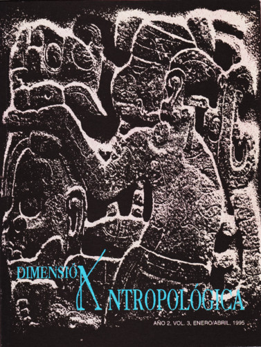 Dimensión Antropológica Vol. 3 (1995)