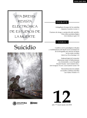 Vita Brevis Num. 12 (2018) Suicidio