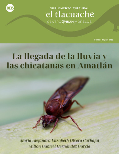 El Tlacuache Núm. 1035 (2022)