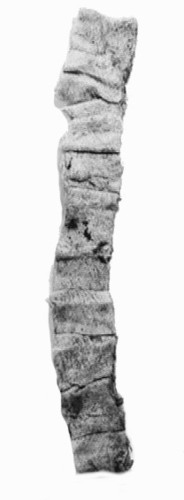 Lienzo