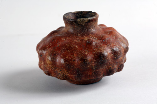 Olla fitomorfa