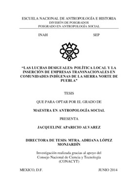 Las luchas desiguales : política local y la  inserción de empresas transnacionales en comunidades indígenas de la sierra norte d