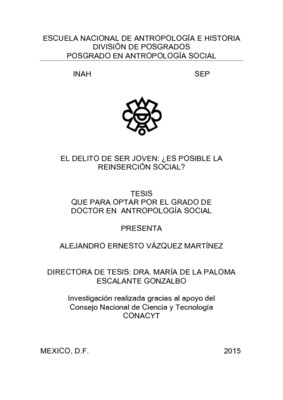 El delito de ser joven : ¿Es posible la reinserción social?