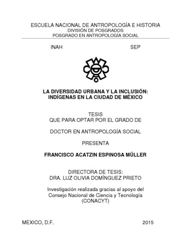 La diversidad urbana y la inclusión : indígenas en la ciudad de México