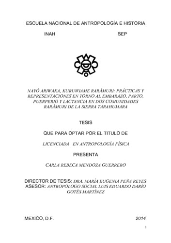 Nayó ariwaka, kuruwiame rarámuri: prácticas y representaciones en torno al embarazo, parto, puerperio y lactancia en dos comunidades rarámuri de la sierra  tarahumara