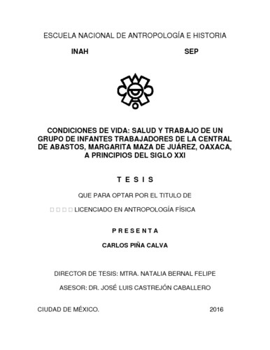 Condiciones de vida: salud y trabajo de un grupo de infantes trabajadores  de la central de abastos, Margarita Maza de Juárez, Oaxaca, a principios del siglo XXI