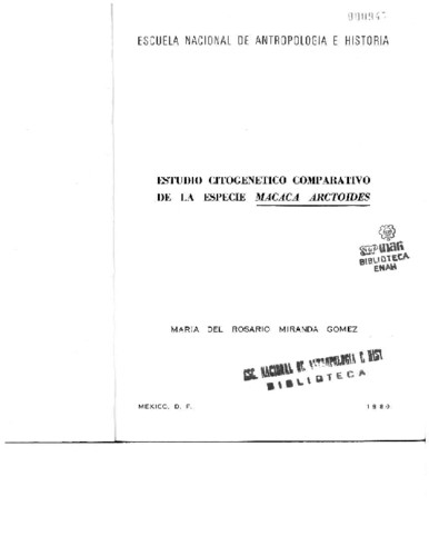 Estudio citogenético comparativo de la especie Macaca Arctoides